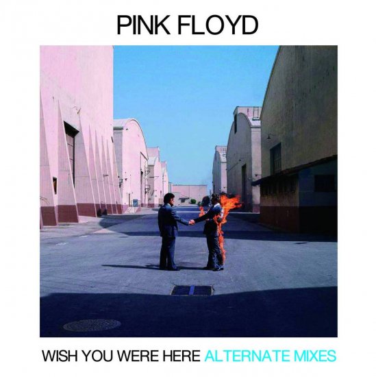 PINK FLOYD / WISH YOU WERE HERE ALTERNATE MIXES (2CD)