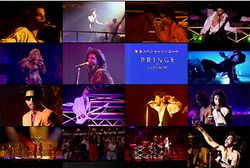 PRINCE  / TOKYO DOME 1990 RE-BROADCAST EDITION (1DVD)