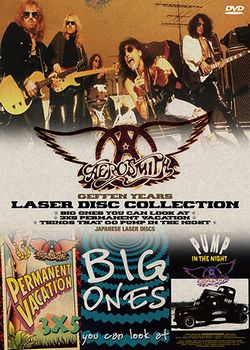 AEROSMITH - GEFFEN YEARS: LASER DISC COLLECTION (2DVDR)