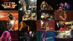 AEROSMITH - MILWAUKEE 2013(1DVD)