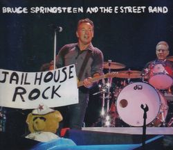 BRUCE SPRINGSTEEN & THE E STREET BAND / WERCHTER WRECKING BALL NIGHT (3CD)